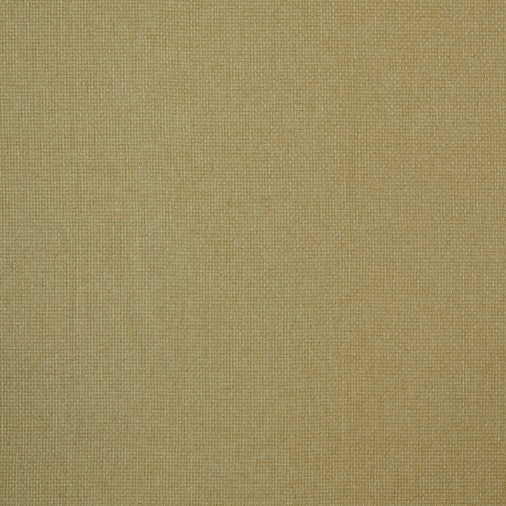 7880 Reed 2 Brass by Wmah Fabric Wmah Fabric 7880 Reed 2 BrassFabric William Morris At Home Flora & Foliage 60%Pol 25%Cot 15%Lin India </p><p>Repeat: H: 0.25, V: 0 54 in - Fabric Carolina -