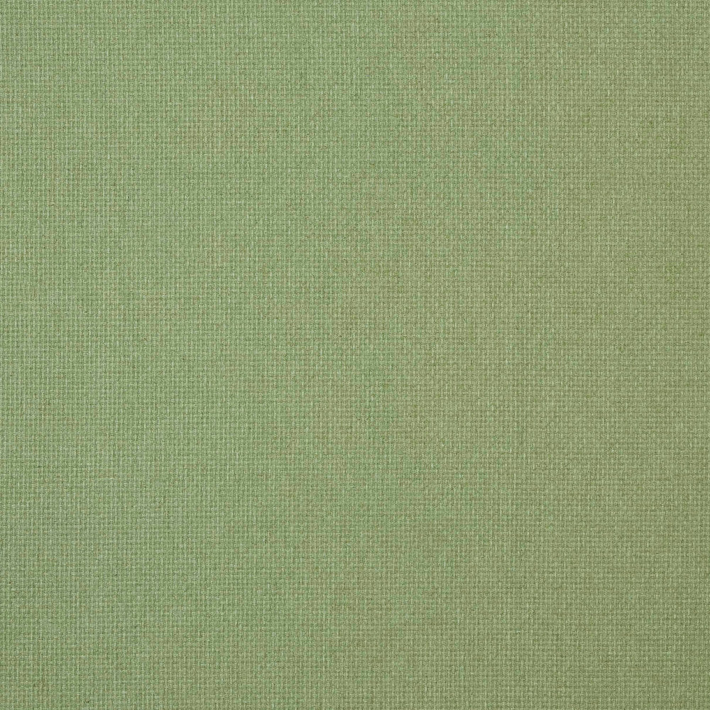 7880 Reed 8 Grass by Wmah Fabric Wmah Fabric 7880 Reed 8 GrassFabric William Morris At Home Flora & Foliage 60%Pol 25%Cot 15%Lin India </p><p>Repeat: H: 0.25, V: 6.5 54 in - Fabric Carolina -