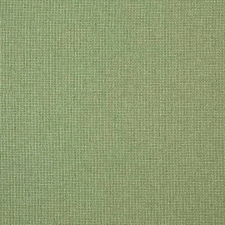 7880 Reed 8 Grass by Wmah Fabric Wmah Fabric 7880 Reed 8 GrassFabric William Morris At Home Flora & Foliage 60%Pol 25%Cot 15%Lin India </p><p>Repeat: H: 0.25, V: 6.5 54 in - Fabric Carolina -