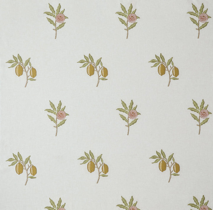 7891 Fruit Embroidery 2 Tangerine by Wmah Fabric Wmah Fabric 7891 Fruit Embroidery 2 TangerineFabric William Morris At Home The Forager 52%Pol 48%Cot %Vemb India </p><p>Repeat: H: 13.75, V: 36 53 in - Fabric Carolina -