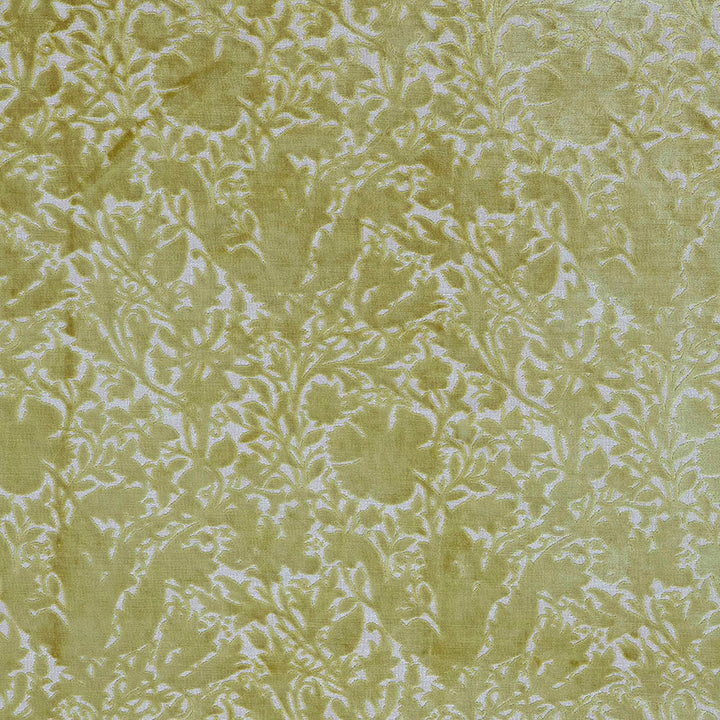 7892 Compton Silhouette Velvet 1 Celery by Wmah Fabric Wmah Fabric 7892 Compton Silhouette Velvet 1 CeleryFabric William Morris At Home Flora & Foliage 100%Pol India </p><p>Repeat: H: 13.625, V: 5.5 54 in - Fabric Carolina -