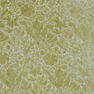 7892 Compton Silhouette Velvet 1 Celery by Wmah Fabric