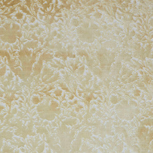 7892 Compton Silhouette Velvet 2 Coin by Wmah Fabric