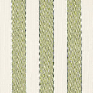 Blumont Stripe Indoor/Outdoor Green 79055 by Schumacher Fabric