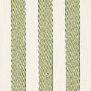Blumont Stripe Indoor/Outdoor Green 79055 by Schumacher Fabric