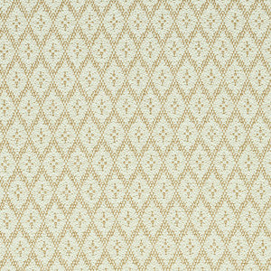 Olmsted Indoor/Outdoor Natural 79171 by Schumacher Fabric