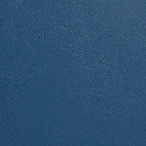 7938 Blue by Charlotte Fabric