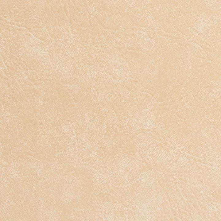 7949 Seashell by Charlotte Designer Fabric Heavy Duty Soft Touch Vinyl 100% Virgin Vinyl, 30oz. Asia Exceeds 200,000 Wyzenbeek Rubs (Heavy Duty) No Repeat 54 Inches - Swanky Fabrics -