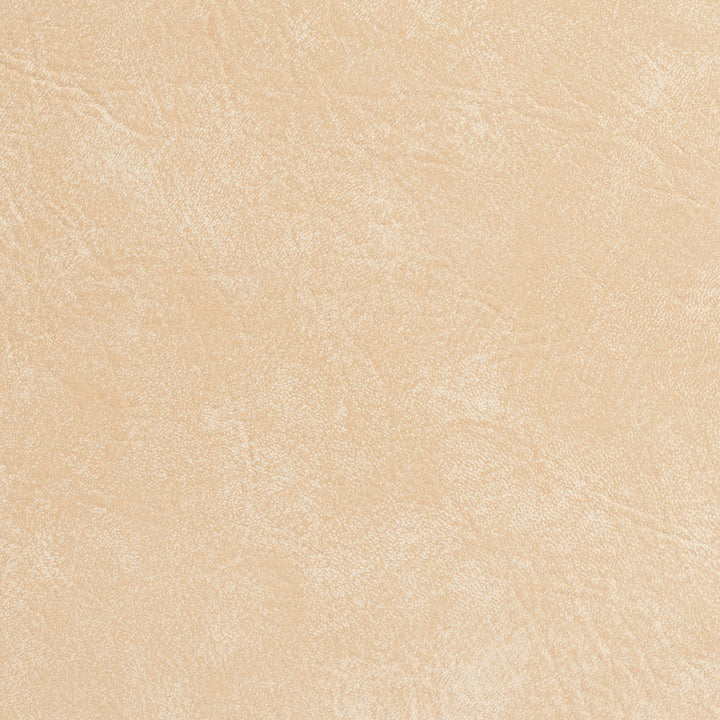 7949 Seashell by Charlotte Fabric Heavy Duty Soft Touch Vinyl 100% Virgin Vinyl, 30oz. Asia Exceeds 200,000 Wyzenbeek Rubs (Heavy Duty) No Repeat 54 Inches - Fabric Carolina -