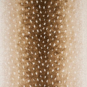 Axis Velvet Fawn 79500 by Schumacher Fabric