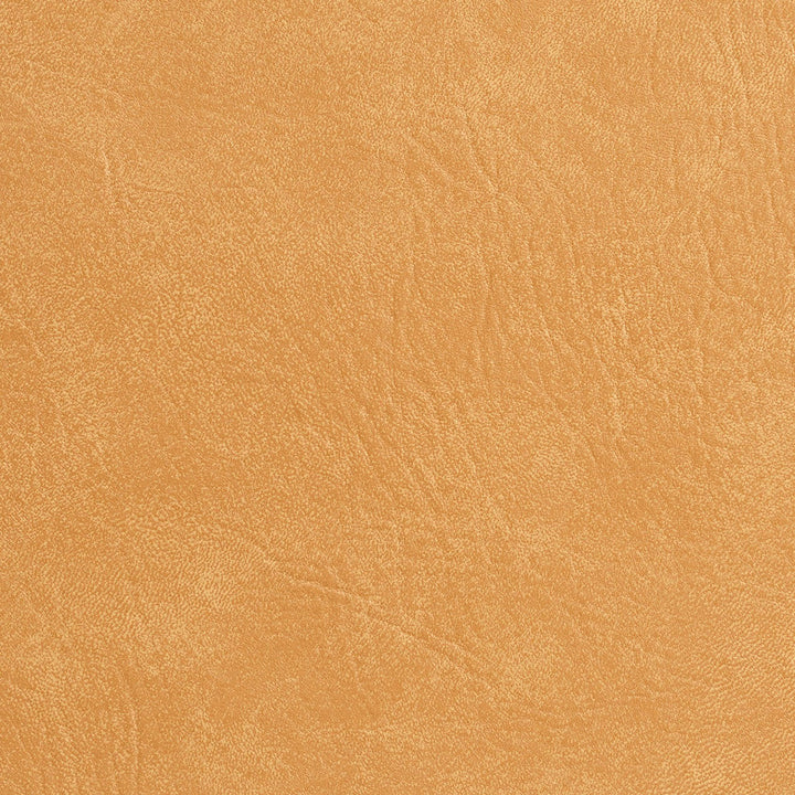 7953 Summersand by Charlotte Designer Fabric Heavy Duty Soft Touch Vinyl 100% Virgin Vinyl, 30oz. Asia Exceeds 200,000 Wyzenbeek Rubs (Heavy Duty) No Repeat 54 Inches - Swanky Fabrics -