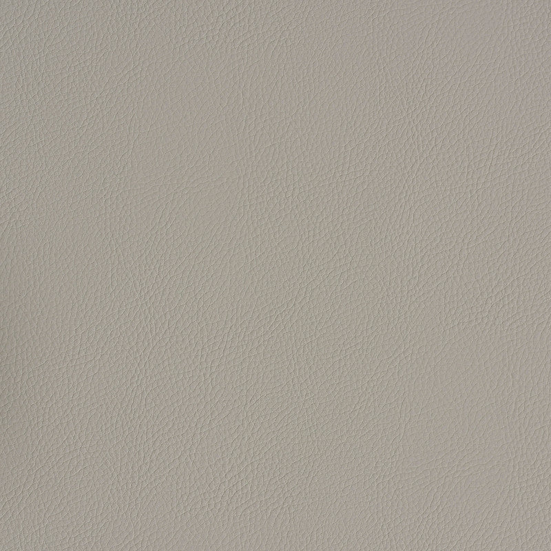 Indoor/Outdoor Vegan Leather Stone 79554 by Schumacher Fabric INDOOR/OUTDOOR VEGAN LEATHER POLYURETHANE 80% POLYESTER 20% KOREA MARTINDALE 75,000 </p><p>Repeat: Horizontal: and Vertical: 54 - Fabric Carolina -