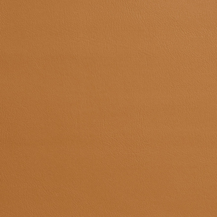 7969 Buckskin by Charlotte Fabric Heavy Duty Soft Touch Vinyl 100% Virgin Vinyl, 30oz. Asia Exceeds 200,000 Wyzenbeek Rubs (Heavy Duty) No Repeat 54 Inches - Fabric Carolina -