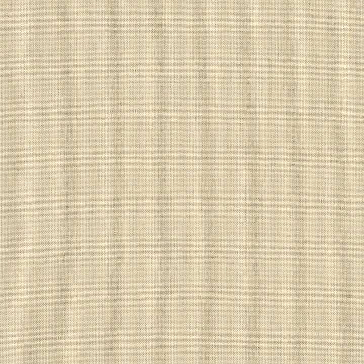 48019 Spectrum Sand by Sunbrella Fabric Sunbrella Elements - Spectrum Sunbrella® Acrylic, Sunbrella® Polyester, Sunbrella® Non-Phthalate PVC USA or Imported 5-Year Horizontal: and Vertical: 60 yd. 54 in. - Fabric Carolina -