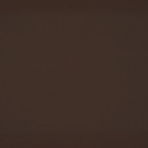 U224 Brownie by Sunbrella Fabric