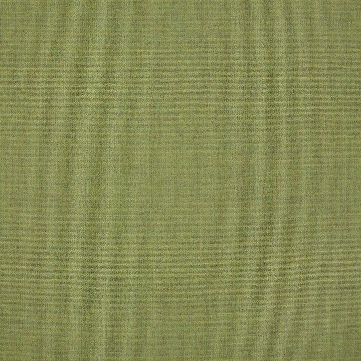 48109 Cast Moss by Sunbrella Fabric Sunbrella Pure Sunbrella® Acrylic, Sunbrella® Polyester, Sunbrella® Non-Phthalate PVC USA or Imported 5-Year Horizontal: and Vertical: 60 yd. 54 in. - Fabric Carolina -