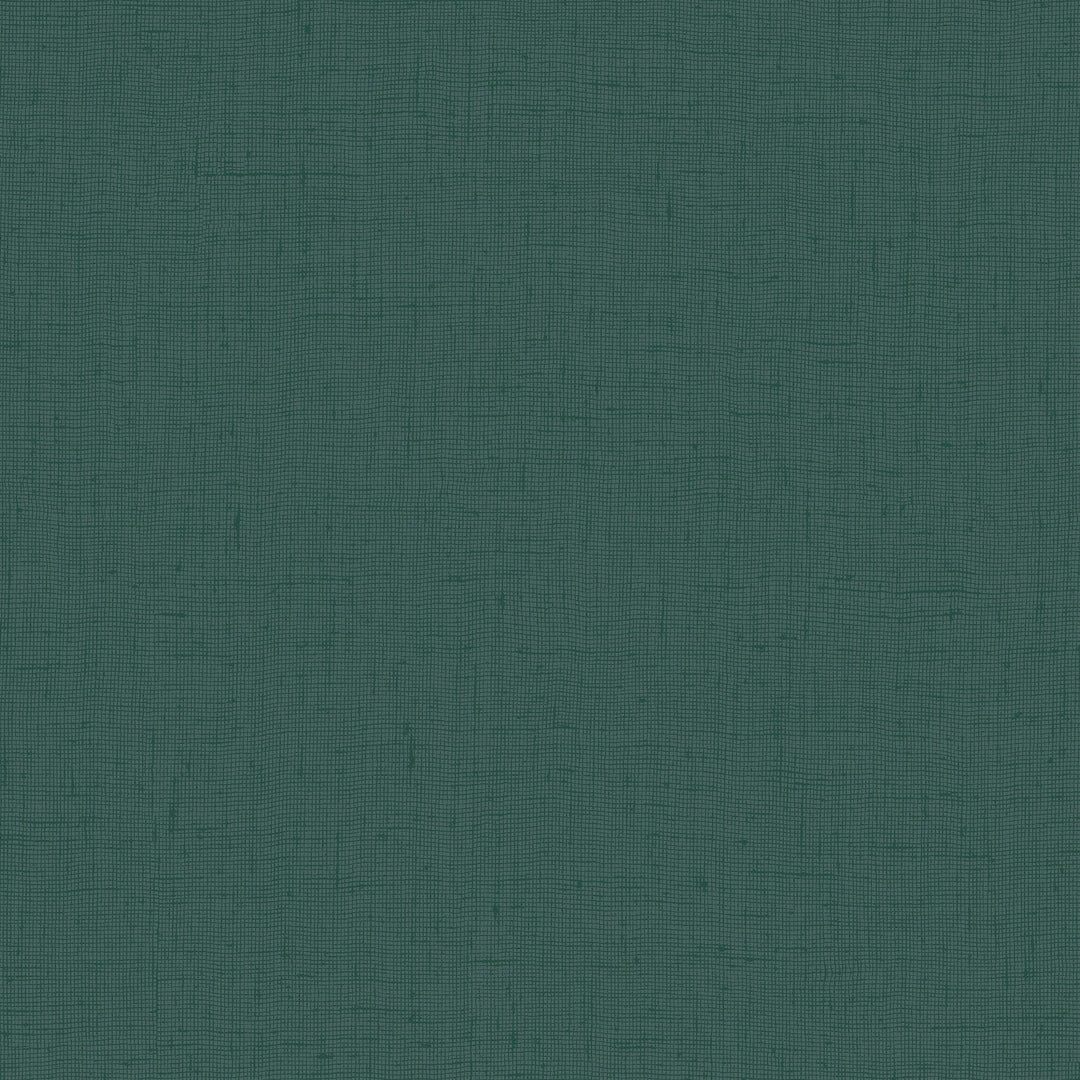 8007