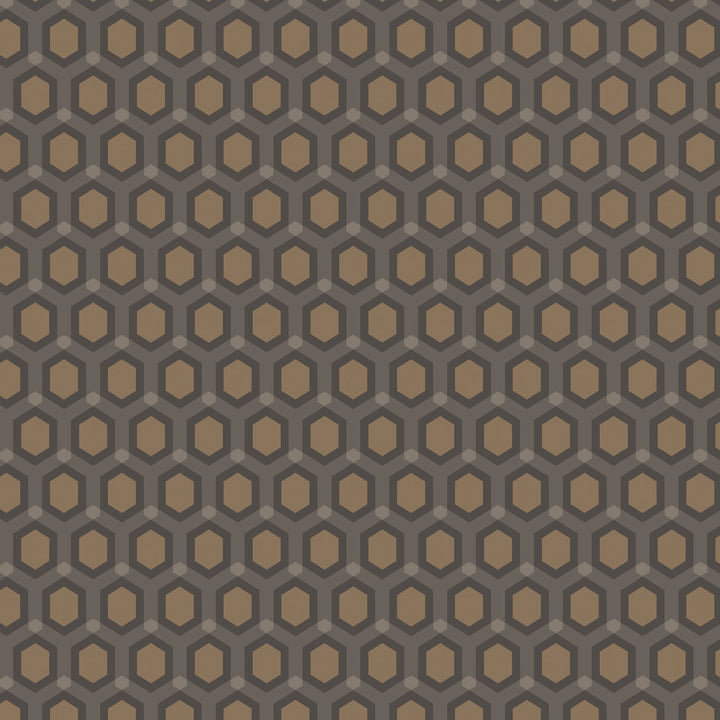 8010 37W6791 by JF Wallcovering CELESTIAL WALLCOVERINGS 100% Wallpaper Belgium Horizontal: and Vertical: 3.1 20.5 inches, 11 yards per roll. - Fabric Carolina -