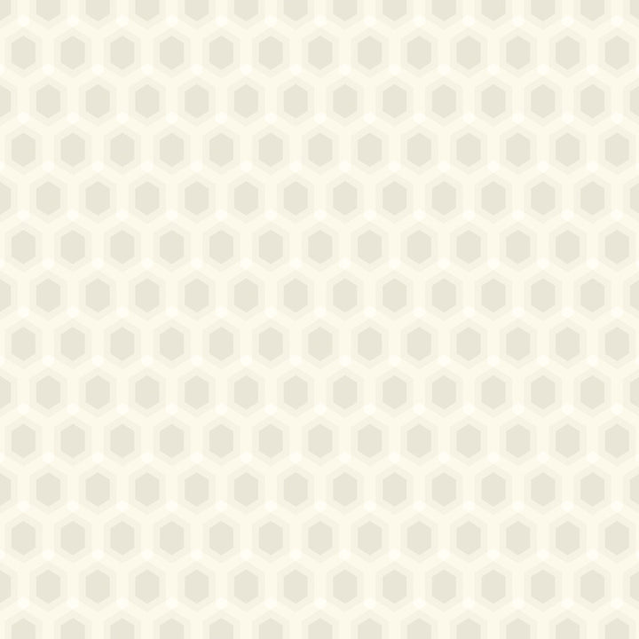 8010 91W6791 by JF Wallcovering CELESTIAL WALLCOVERINGS 100% Wallpaper Belgium Horizontal: and Vertical: 3.1 20.5 inches, 11 yards per roll. - Fabric Carolina -