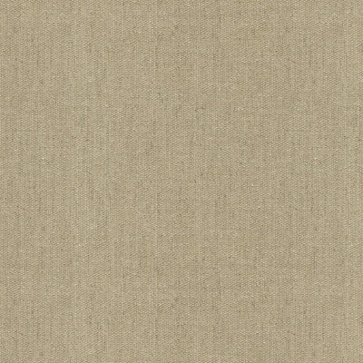 Jive Beige by Brunschwig & Fils Fabric Brunschwig & Fils Fabric Jive BeigeFabric LE JARDIN CHINOIS COTTON - 37%;VISCOSE - 33%;LINEN - 17%;POLYCOTTON - 13% Italy </p><p>Repeat: H: 0, V: 0 55 - Fabric Carolina -