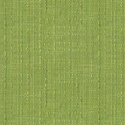 Crosshatch Apple Green by Brunschwig & Fils Fabric Brunschwig & Fils Fabric Crosshatch Apple GreenFabric LE JARDIN CHINOIS RAYON - 52%;COTTON - 48% United States </p><p>Repeat: H: 0, V: 0 52 - Fabric Carolina -