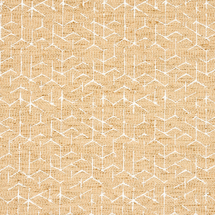 Coleridge Jacquard Camel 80122 by Schumacher Fabric WORLD VIEW II COTTON 34% POLYESTER 66% INDIA </p><p>Repeat: Horizontal: 7" (18CM) and Vertical: 6 1/2" (17CM) 54 - Fabric Carolina -