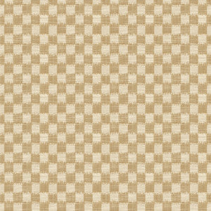 Pinceau Rattan by Brunschwig & Fils Fabric