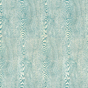 Wood River by Brunschwig & Fils Fabric