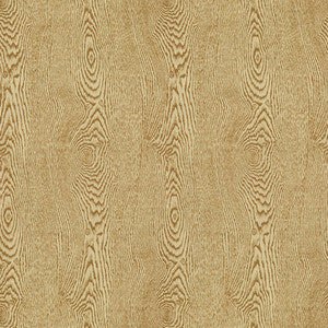 Wood Tan by Brunschwig & Fils Fabric