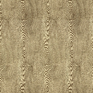 Wood Bark by Brunschwig & Fils Fabric