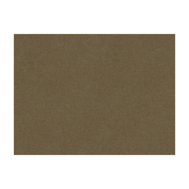 Chevalier Wool Taupe by Brunschwig & Fils Fabric Brunschwig & Fils Fabric Chevalier Wool TaupeFabric WOOL - 80%;POLYAMIDE - 20% Italy </p><p>Repeat: H: , V: 55 - Fabric Carolina -