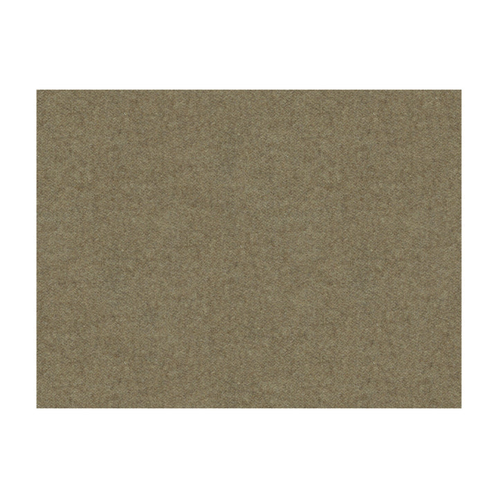 Chevalier Wool Pongee by Brunschwig & Fils Fabric Brunschwig & Fils Fabric Chevalier Wool PongeeFabric WOOL - 80%;POLYAMIDE - 20% Italy </p><p>Repeat: H: , V: 55 - Fabric Carolina -