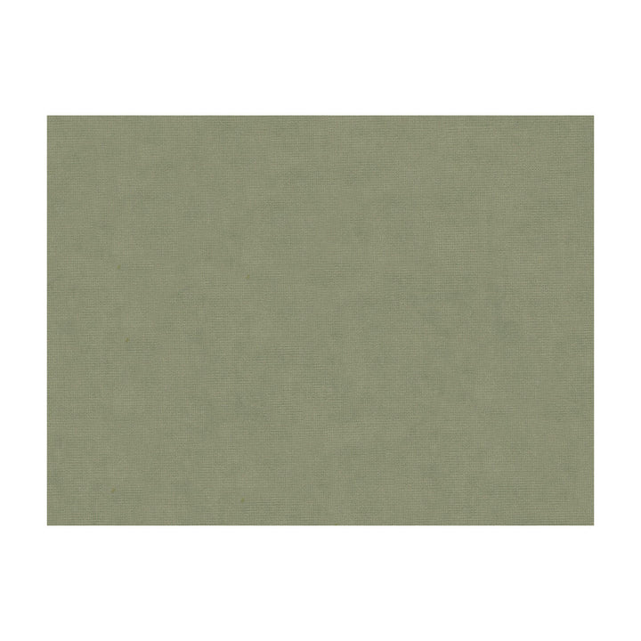 Charmant Velvet Stone by Brunschwig & Fils Fabric Brunschwig & Fils Fabric Charmant Velvet StoneFabric COTTON - 61%;VISCOSE - 39% Netherlands </p><p>Repeat: H: , V: 55 - Fabric Carolina -