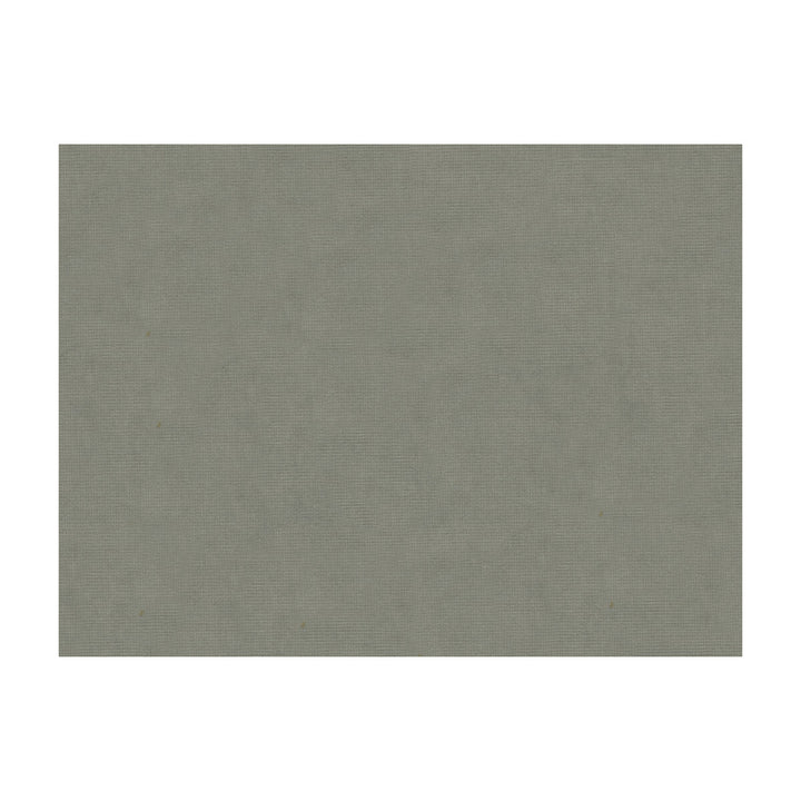 Charmant Velvet Pewter by Brunschwig & Fils Fabric Brunschwig & Fils Fabric Charmant Velvet PewterFabric COTTON - 61%;VISCOSE - 39% Netherlands </p><p>Repeat: H: , V: 55 - Fabric Carolina -