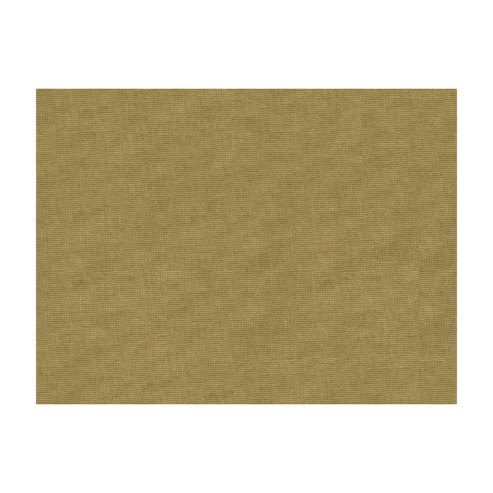Charmant Velvet Driftwood by Brunschwig & Fils Fabric Brunschwig & Fils Fabric Charmant Velvet DriftwoodFabric COTTON - 61%;VISCOSE - 39% Netherlands </p><p>Repeat: H: , V: 55 - Fabric Carolina -