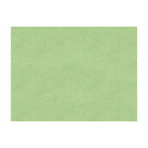 Charmant Velvet Celadon by Brunschwig & Fils Fabric