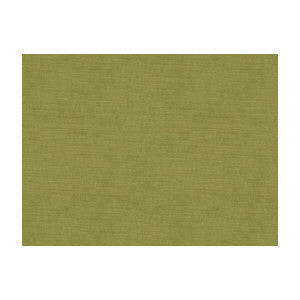 Charmant Velvet Fern by Brunschwig & Fils Fabric