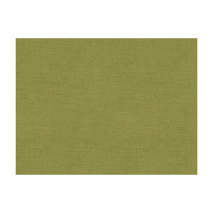 Charmant Velvet Fern by Brunschwig & Fils Fabric