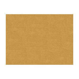 Charmant Velvet Beige by Brunschwig & Fils Fabric