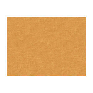 Charmant Velvet Raffia by Brunschwig & Fils Fabric