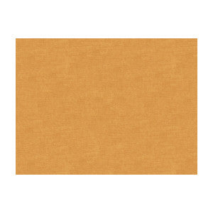 Charmant Velvet Raffia by Brunschwig & Fils Fabric