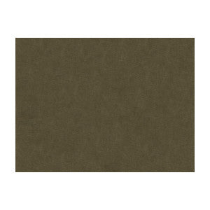 Charmant Velvet Ash by Brunschwig & Fils Fabric