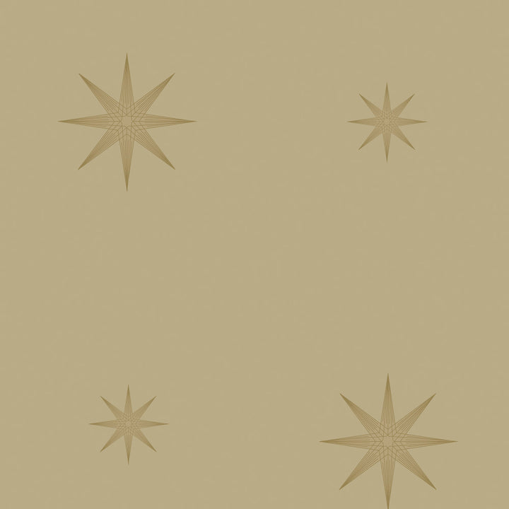 8013 34W6791 by JF Wallcovering CELESTIAL WALLCOVERINGS 100% Wallpaper Belgium Horizontal: and Vertical: 25.1 20.5 inches, 11 yards per roll. - Fabric Carolina -