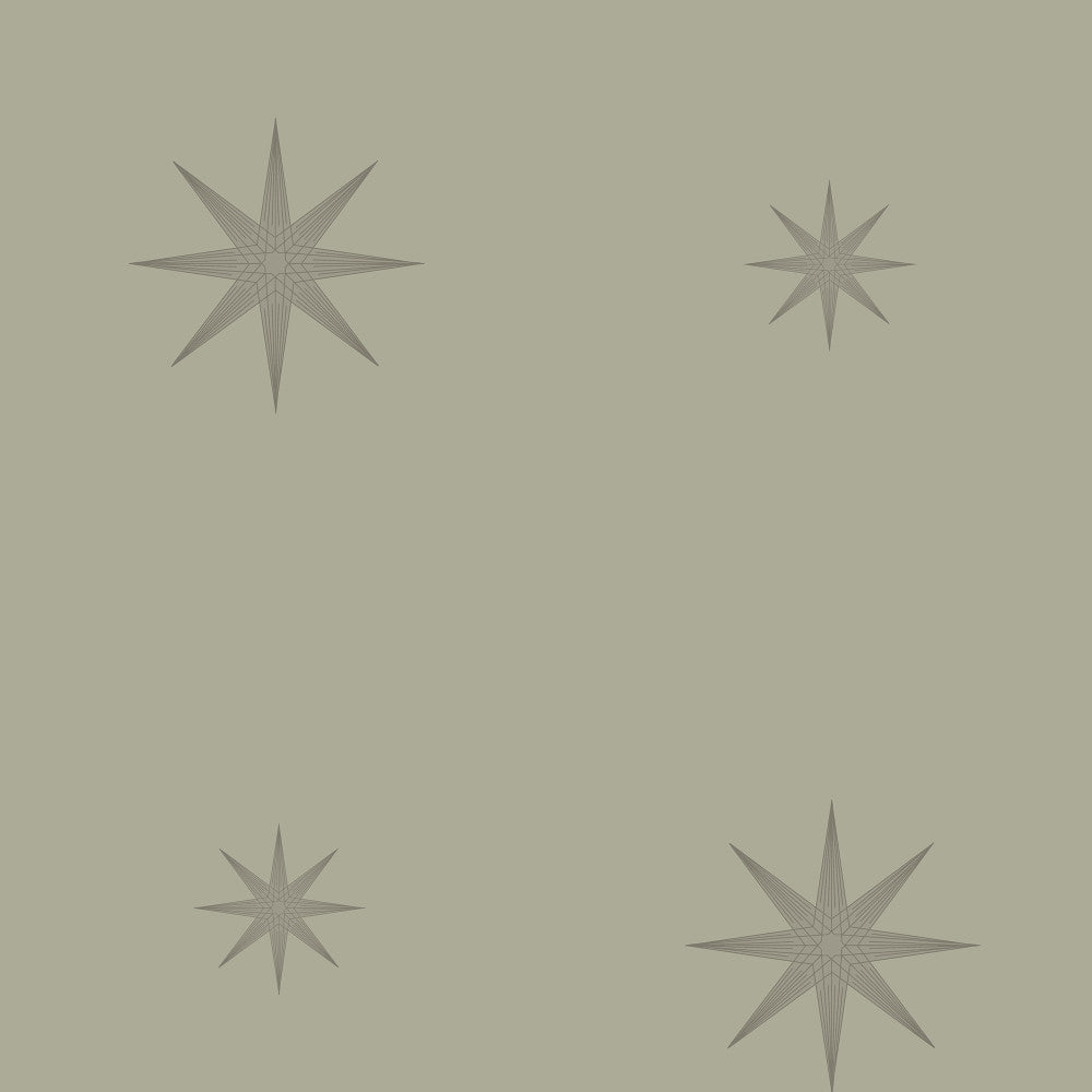 8013 95W6791 by JF Wallcovering CELESTIAL WALLCOVERINGS 100% Wallpaper Belgium Horizontal: and Vertical: 25.1 20.5 inches, 11 yards per roll. - Fabric Carolina -