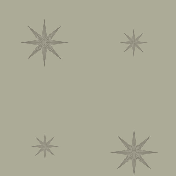 8013 95W6791 by JF Wallcovering CELESTIAL WALLCOVERINGS 100% Wallpaper Belgium Horizontal: and Vertical: 25.1 20.5 - Fabric Carolina -
