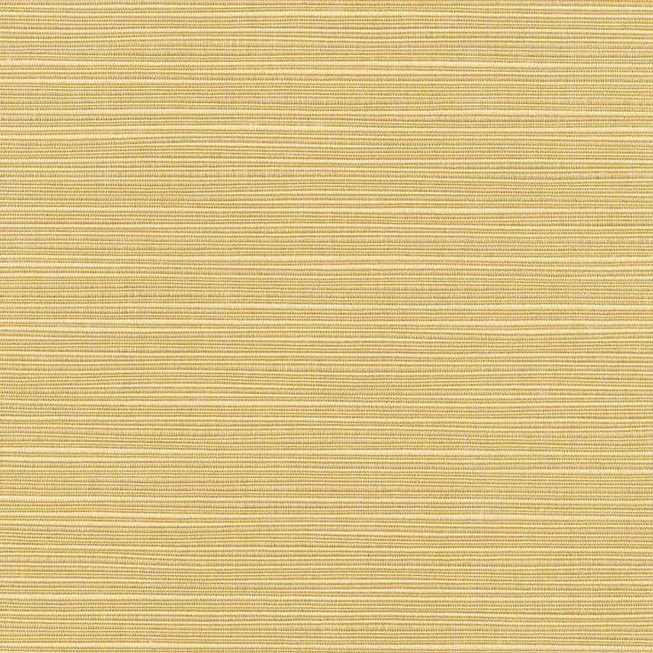 8013 77 Dupione Bamboo by Sunbrella Fabric Cushion Furniture Drapery Fabrics > Sunbrella® Rain 100% Acrylic USA or Imported n/a 54" - Fabric Carolina -