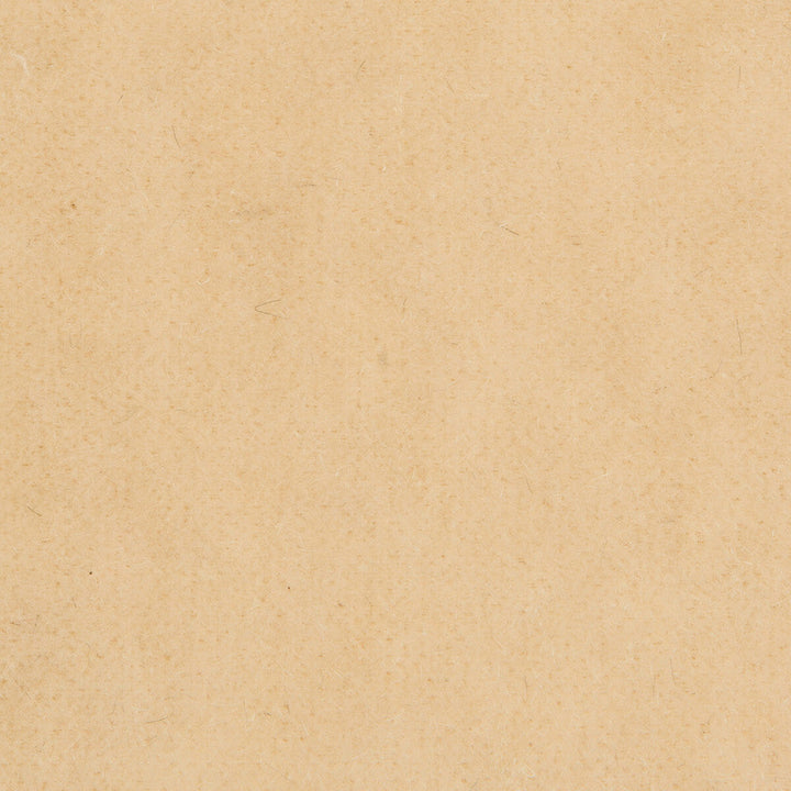 Bachelor Mohair Almond by Brunschwig & Fils Fabric Brunschwig & Fils Fabric Bachelor Mohair AlmondFabric COTTON - 54%;MOHAIR - 46% Netherlands </p><p>Repeat: H: , V: 55 - Fabric Carolina -