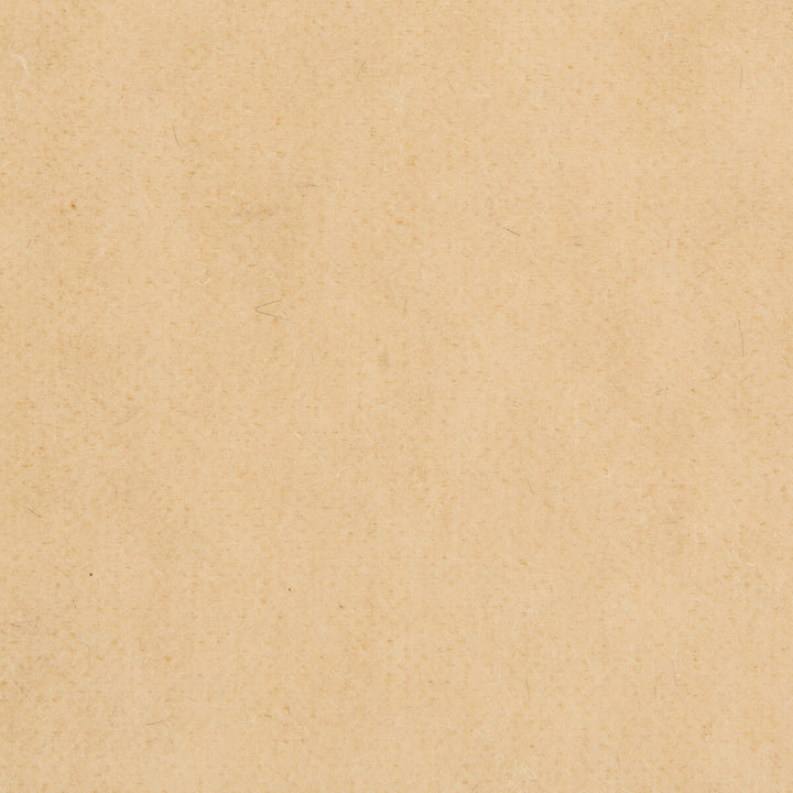 Bachelor Mohair Almond by Brunschwig & Fils Fabric Brunschwig & Fils Fabric Bachelor Mohair AlmondFabric COTTON - 54%;MOHAIR - 46% Netherlands </p><p>Repeat: H: , V: 55 - Fabric Carolina -