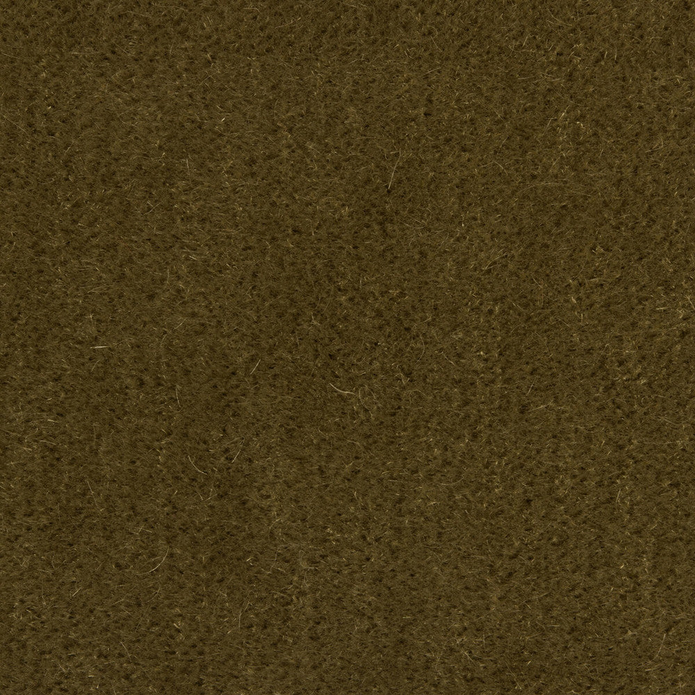 Bachelor Mohair Khaki by Brunschwig & Fils Fabric Brunschwig & Fils Fabric Bachelor Mohair KhakiFabric COTTON - 54%;MOHAIR - 46% Netherlands </p><p>Repeat: H: , V: 55 - Fabric Carolina -