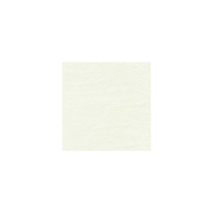 Felice Ivory by Brunschwig & Fils Fabric